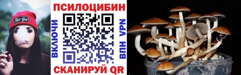 Купить  Красноуфимск  Галлюциногенные грибы мухоморы 